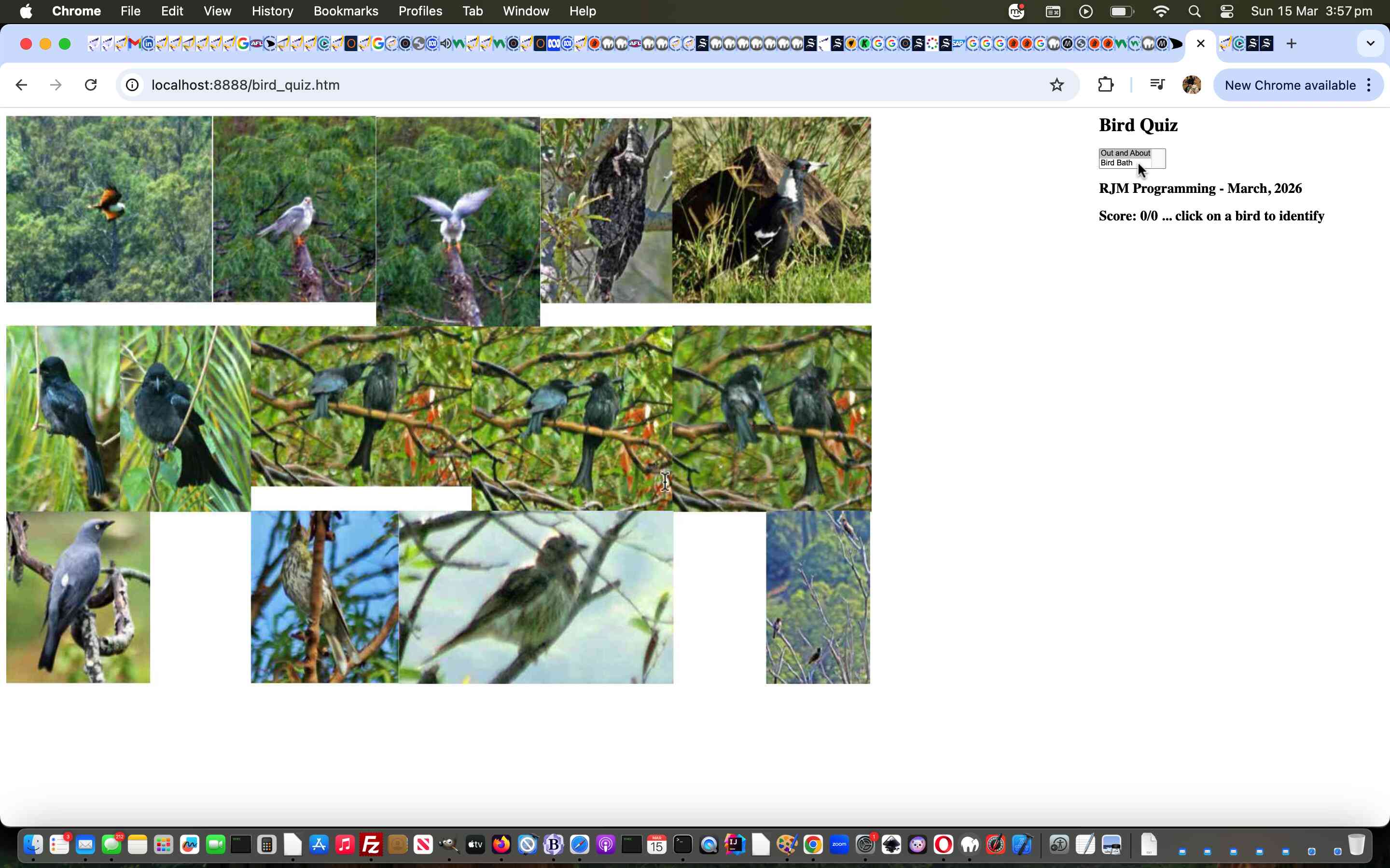 Bird Quiz Peerage Tutorial