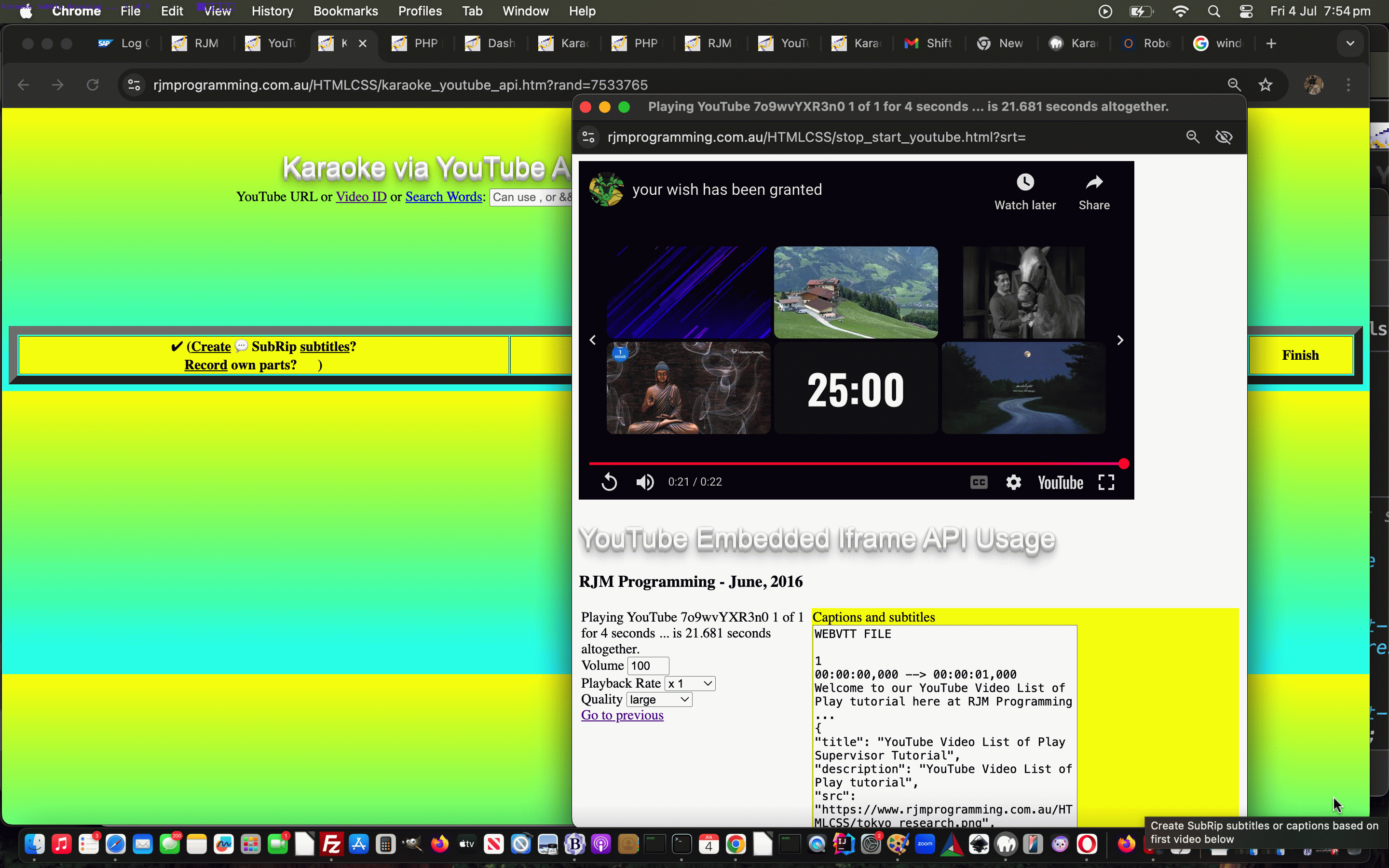 YouTube API SubRip Subtitles Browsing Tutorial