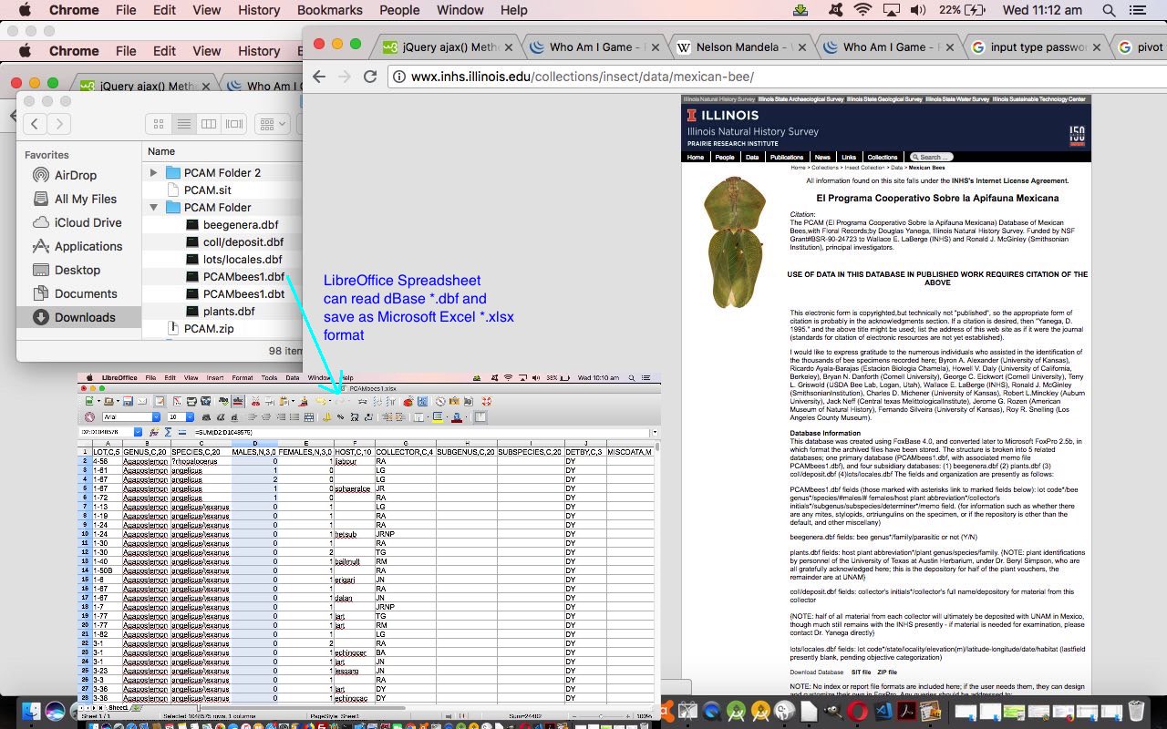 LibreOffice Spreadsheet via dBase Primer Tutorial