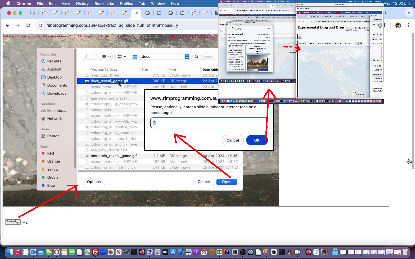 Animated GIF Slide Extraction Browsing Tutorial