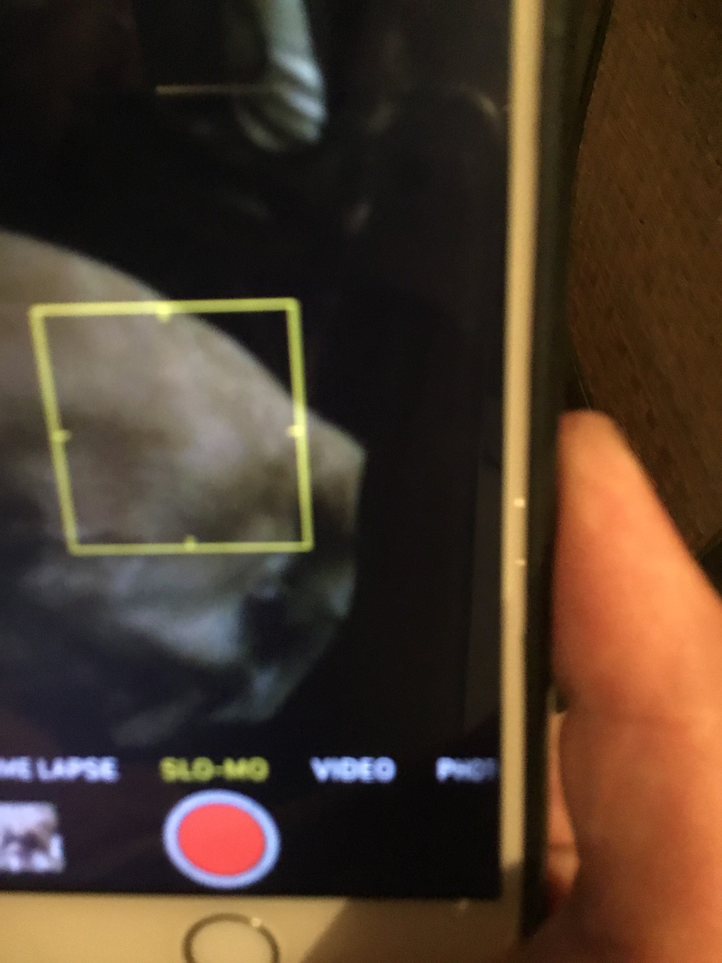 Camera App Video Slow Motion Primer Tutorial