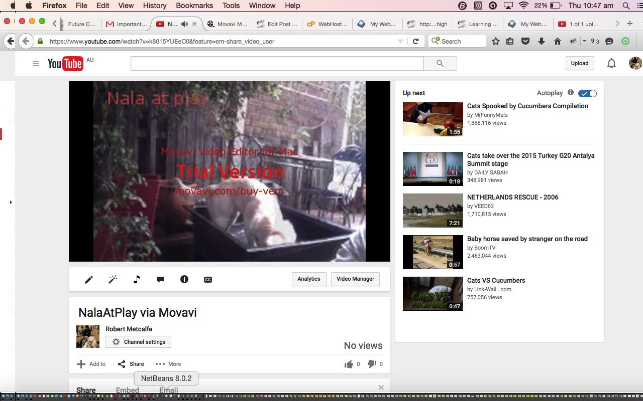 Movavi Video and Audio Slideshow Tutorial