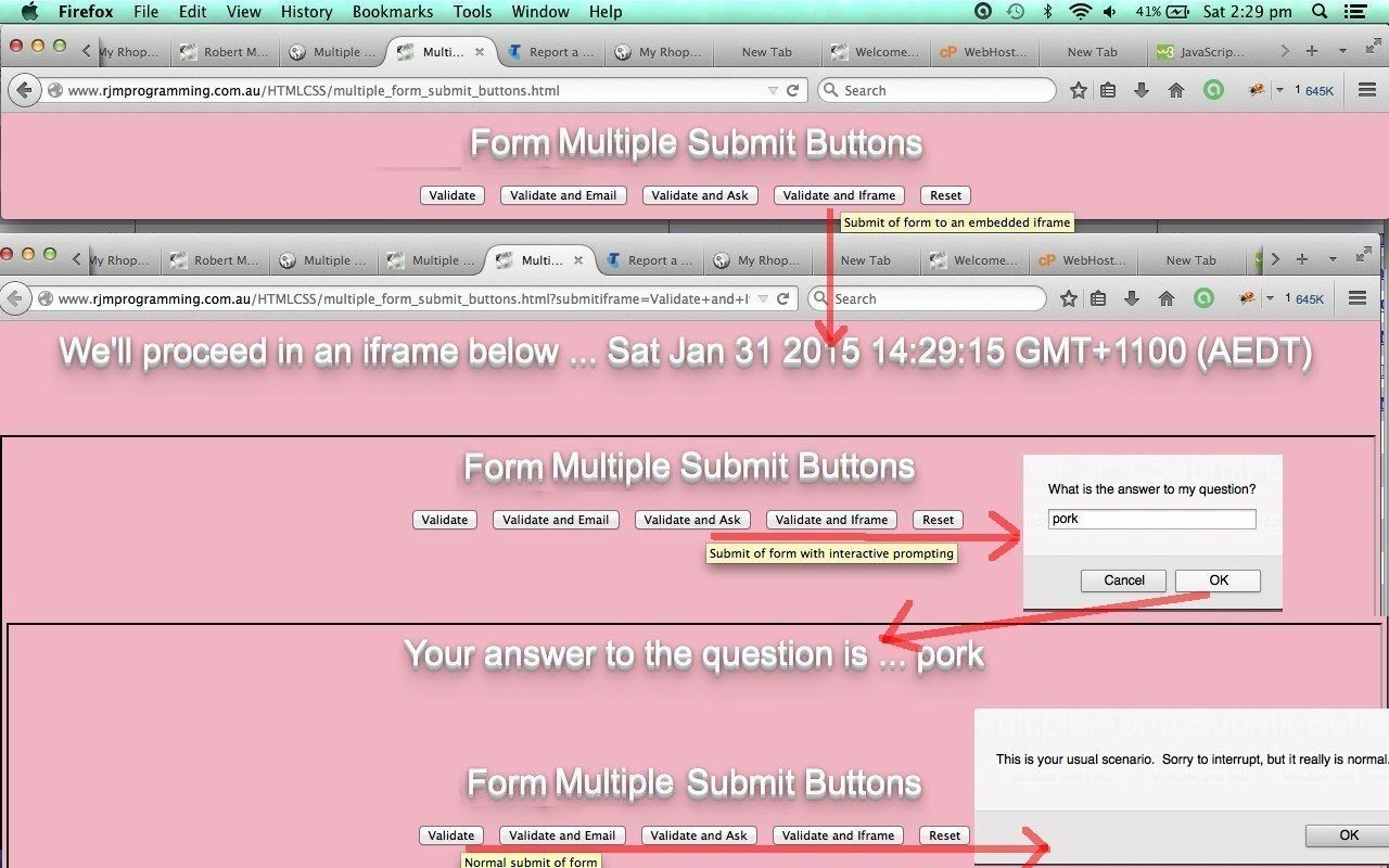 HTML Form Multiple Submit Buttons Primer Tutorial