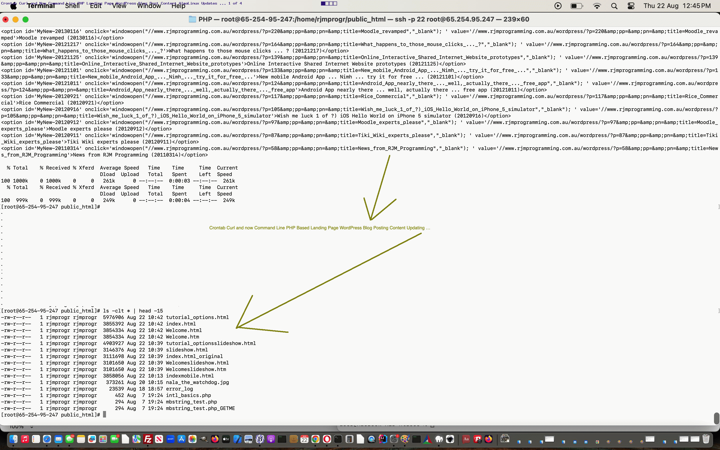 AlmaLinux Landing Page WordPress Content Update Solution Tutorial