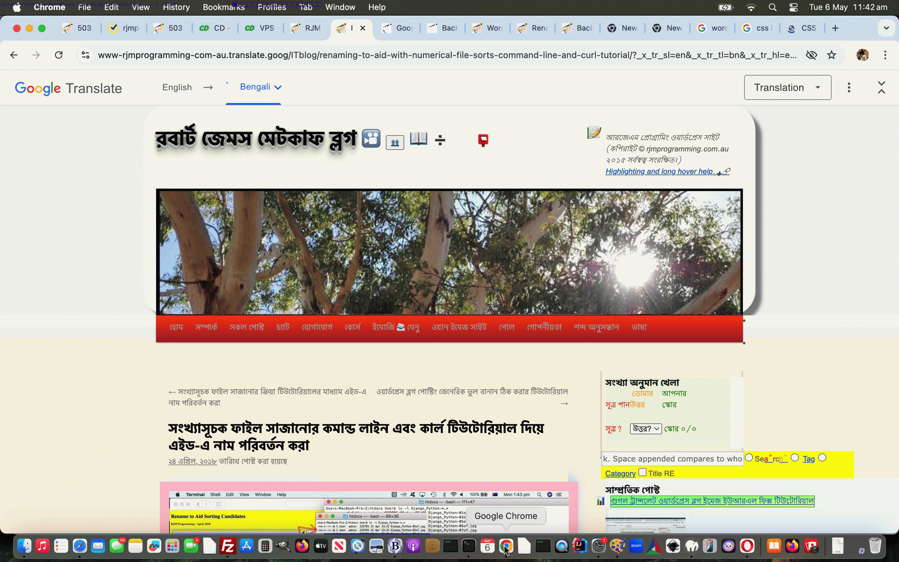 Google Translate WordPress Blog Widget Positioning Tutorial