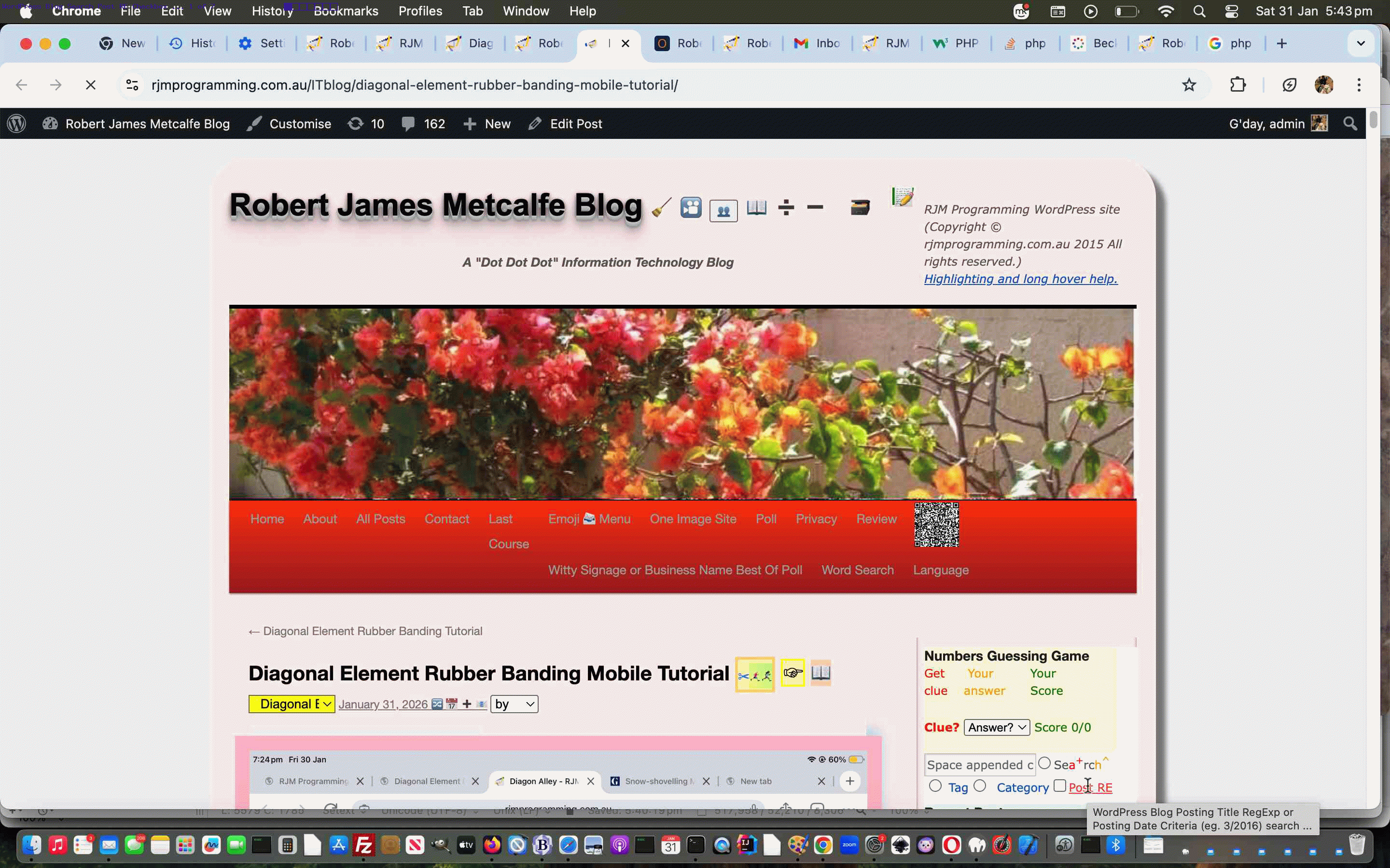 WordPress Blog Search Title and Posting Date Checkbox Tutorial