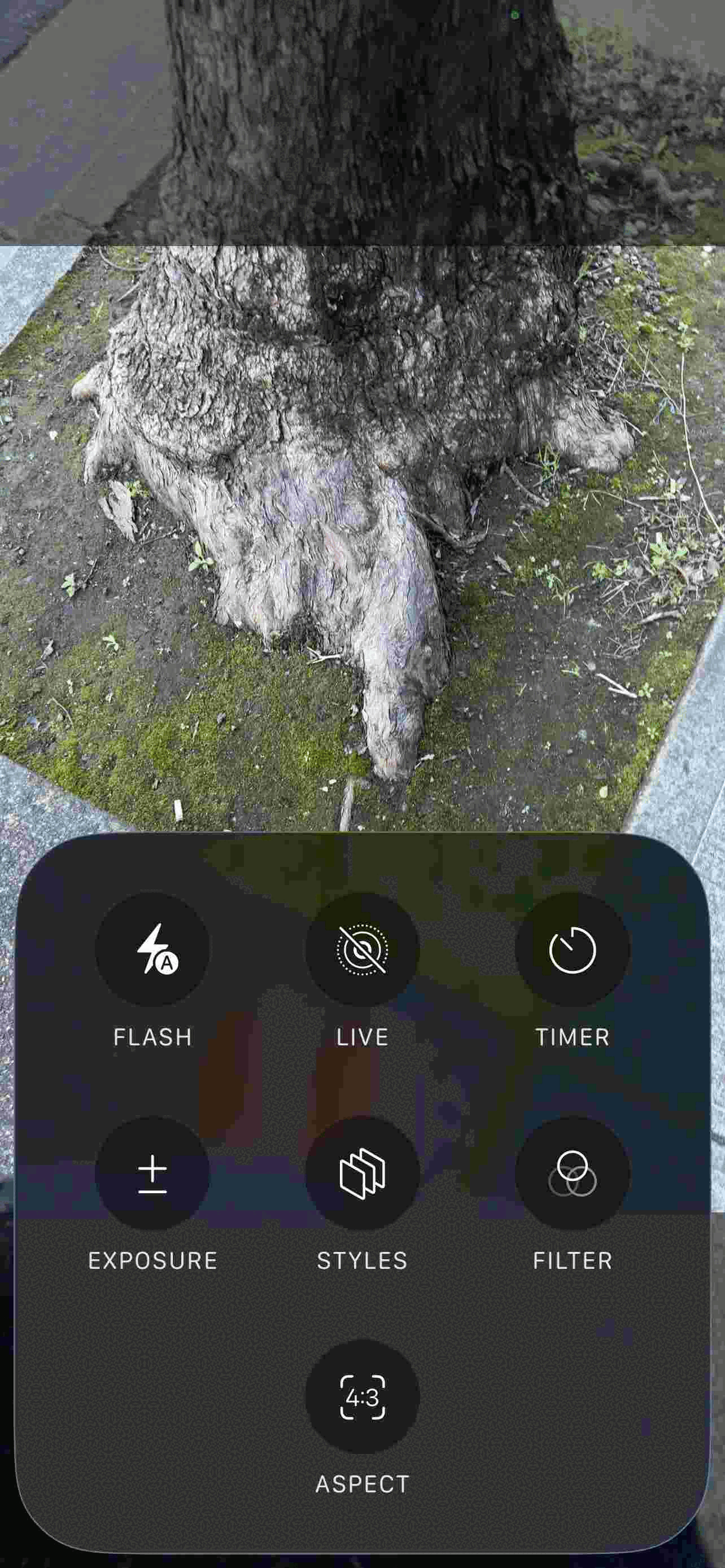 2026/07/17