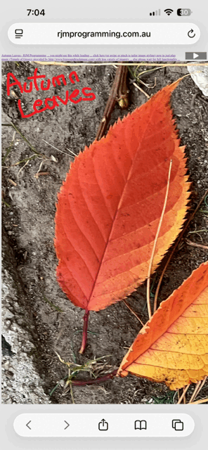 2026/05/11