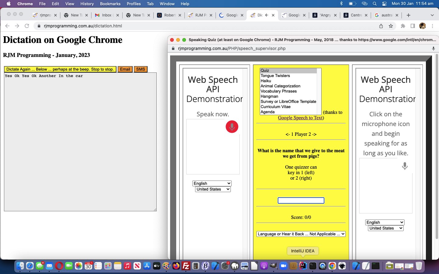 Google Chrome Dictation Out and About Tutorial