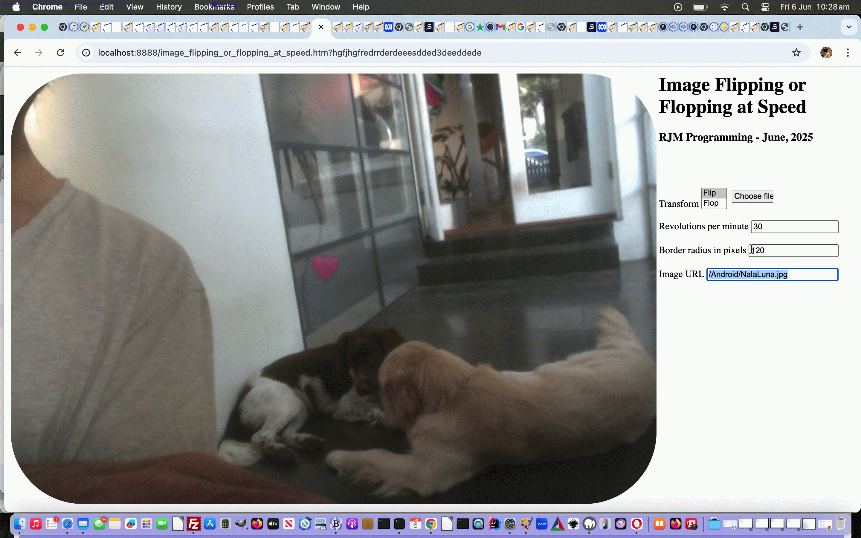 Image Flipping or Flopping at Speed Browsing Tutorial
