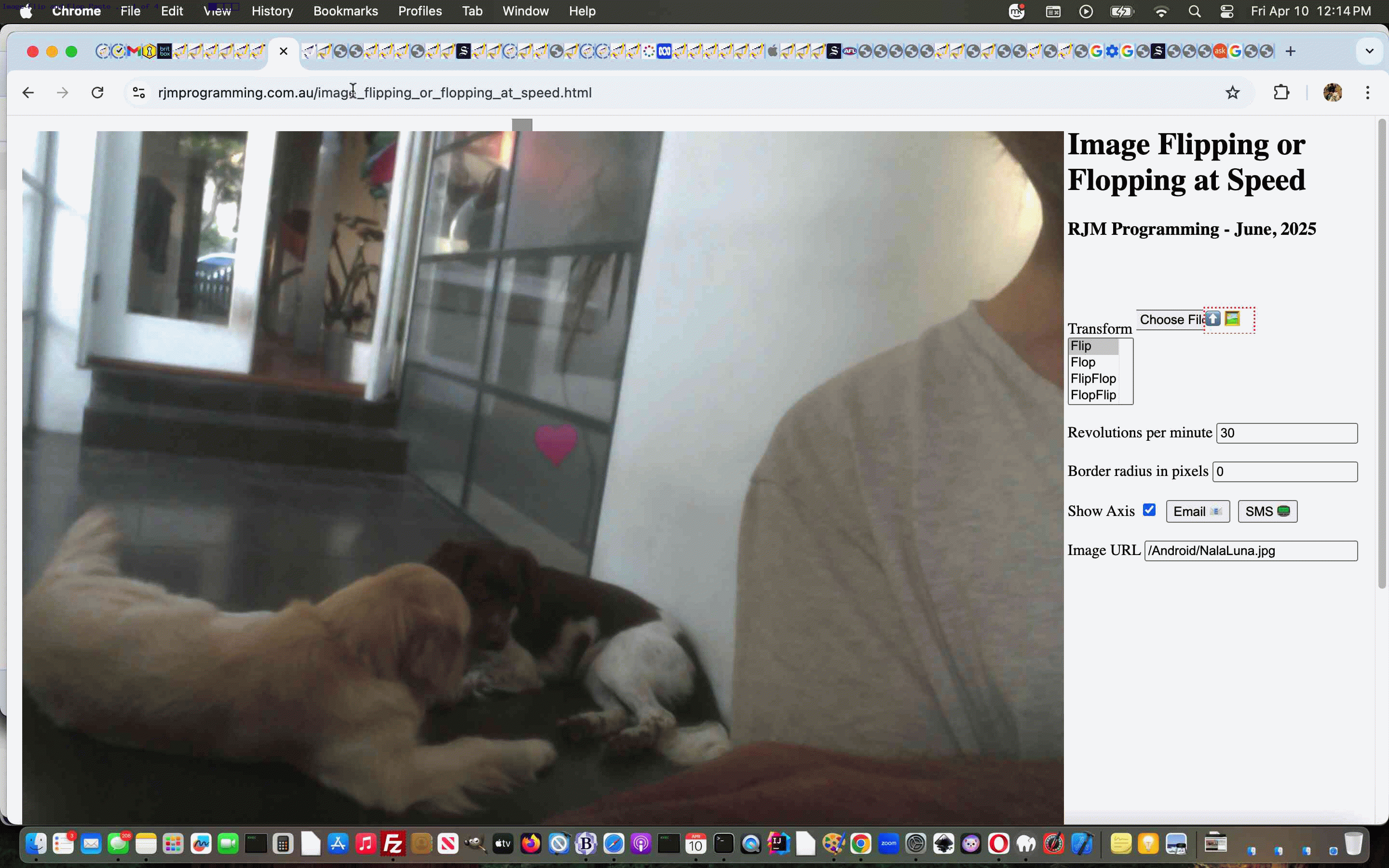 Called Upon Client Browsing Specifically Onpaste Image Copying Tutorial